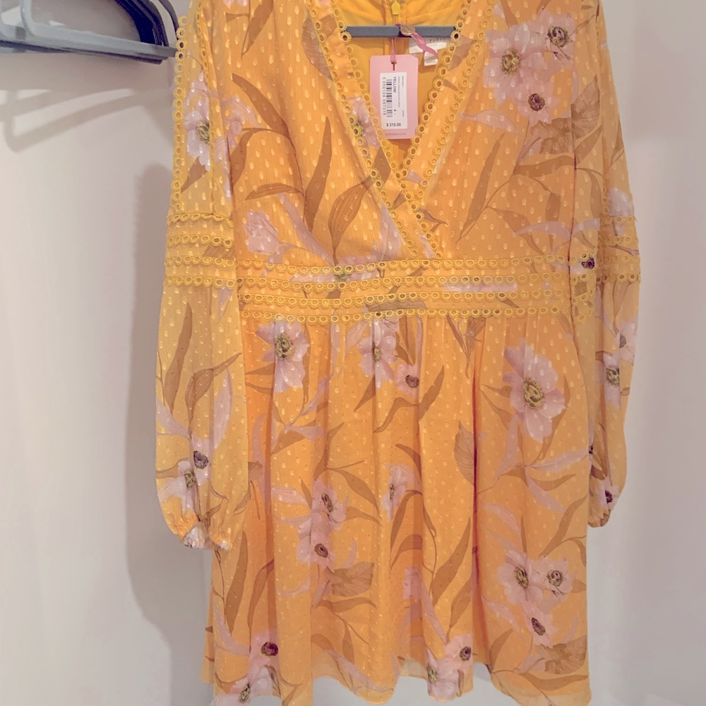 Ted Baker Floral Above the Knee Dress